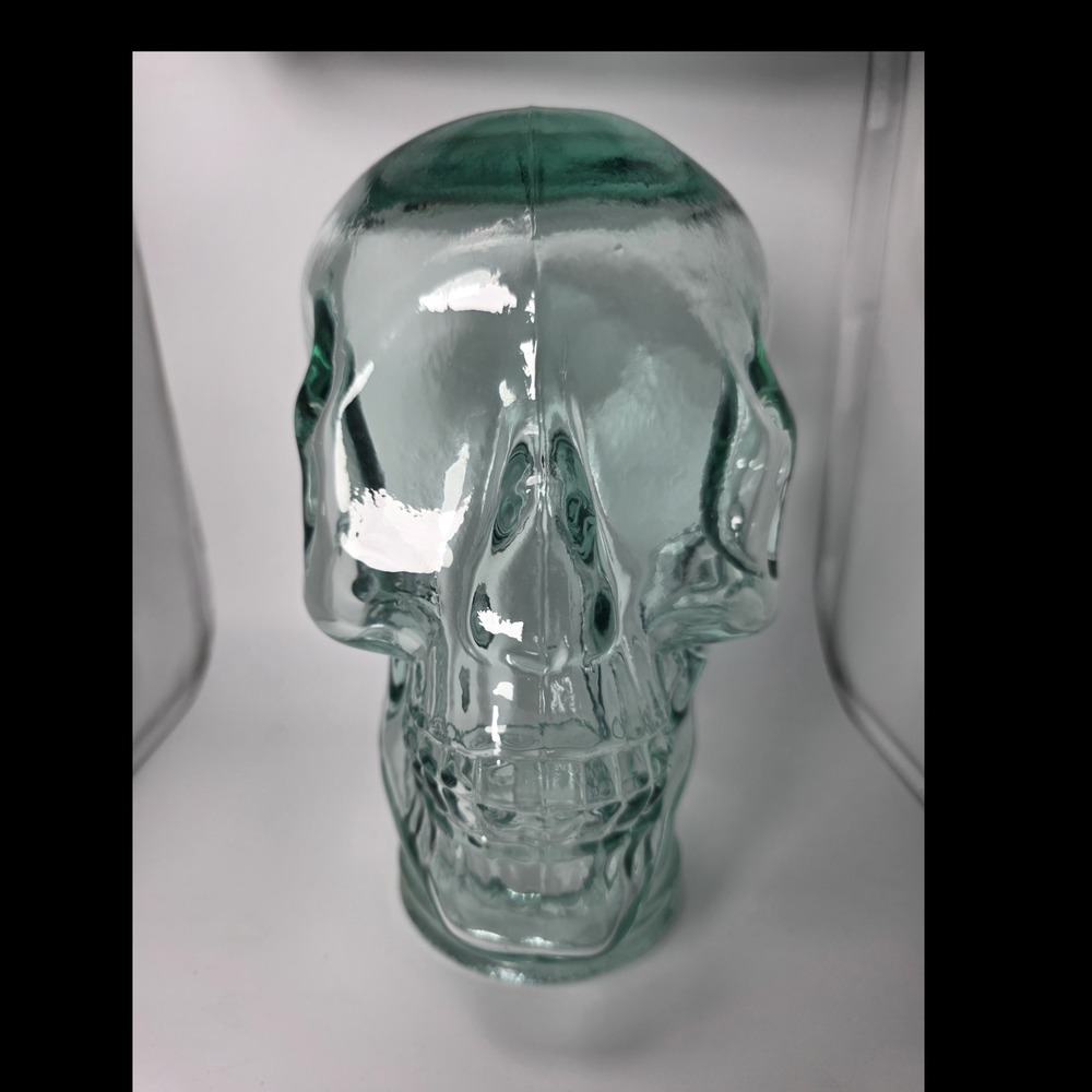 Large Aqua Glass Skull Head Jar Canister Decor Halloween Display 10in
